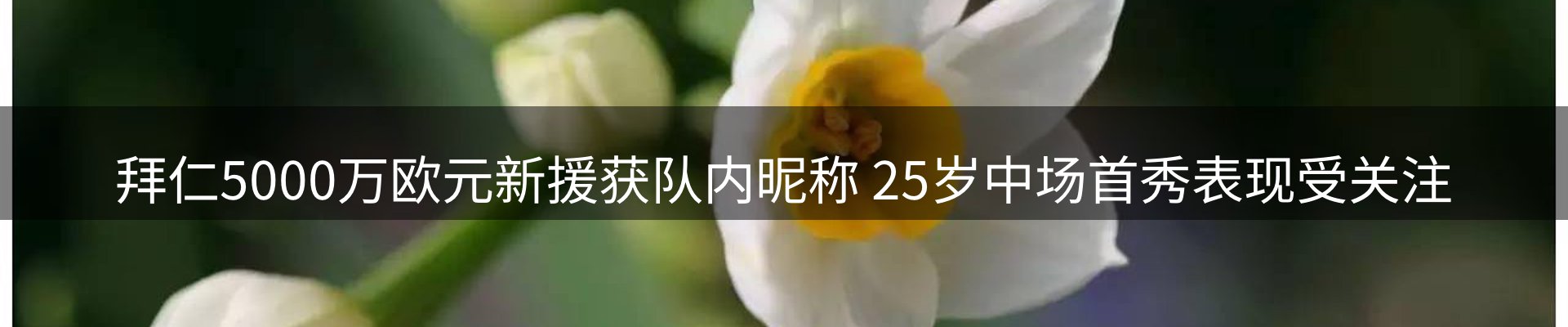 内页banner